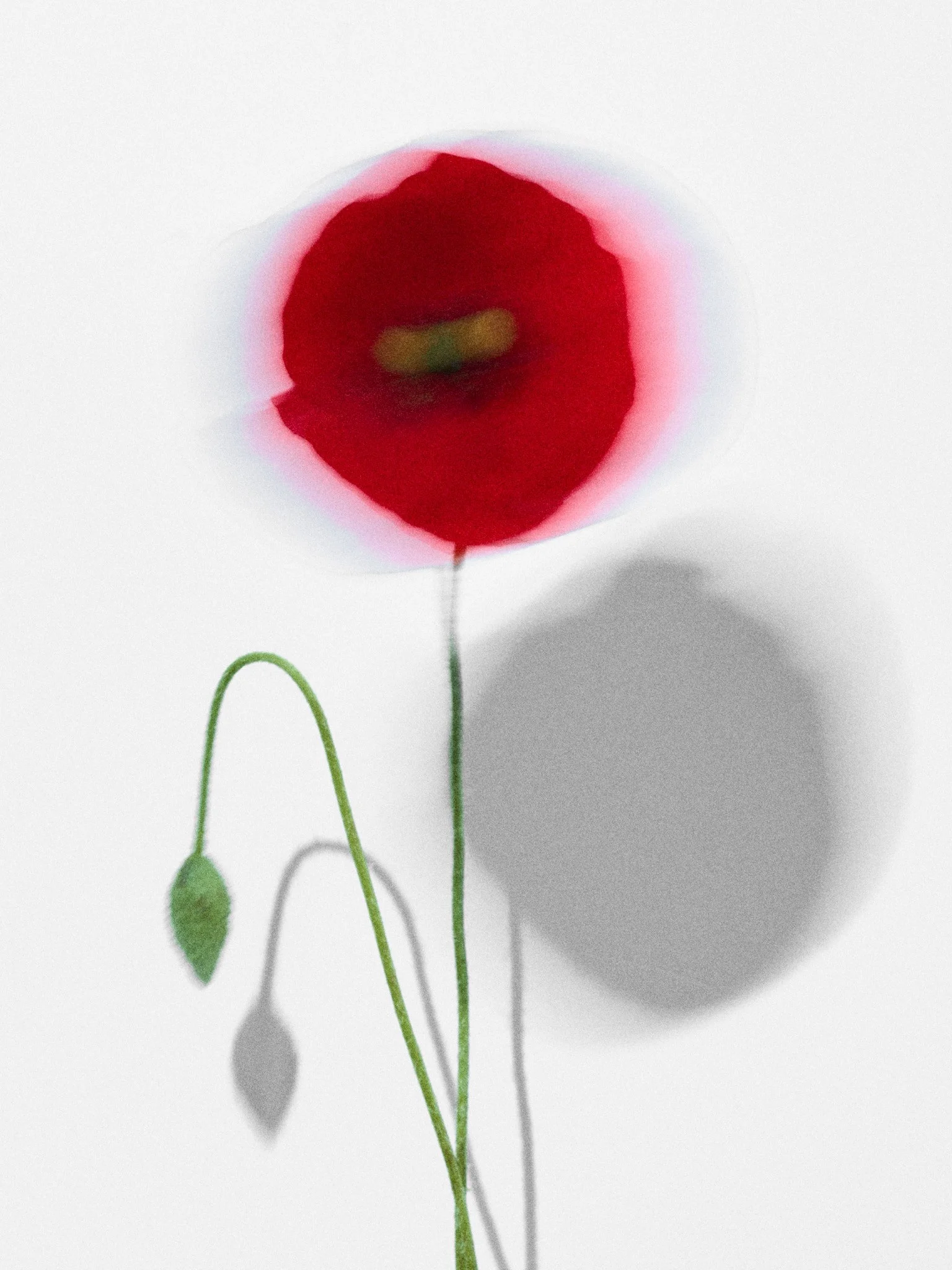 Flower project 2.jpg