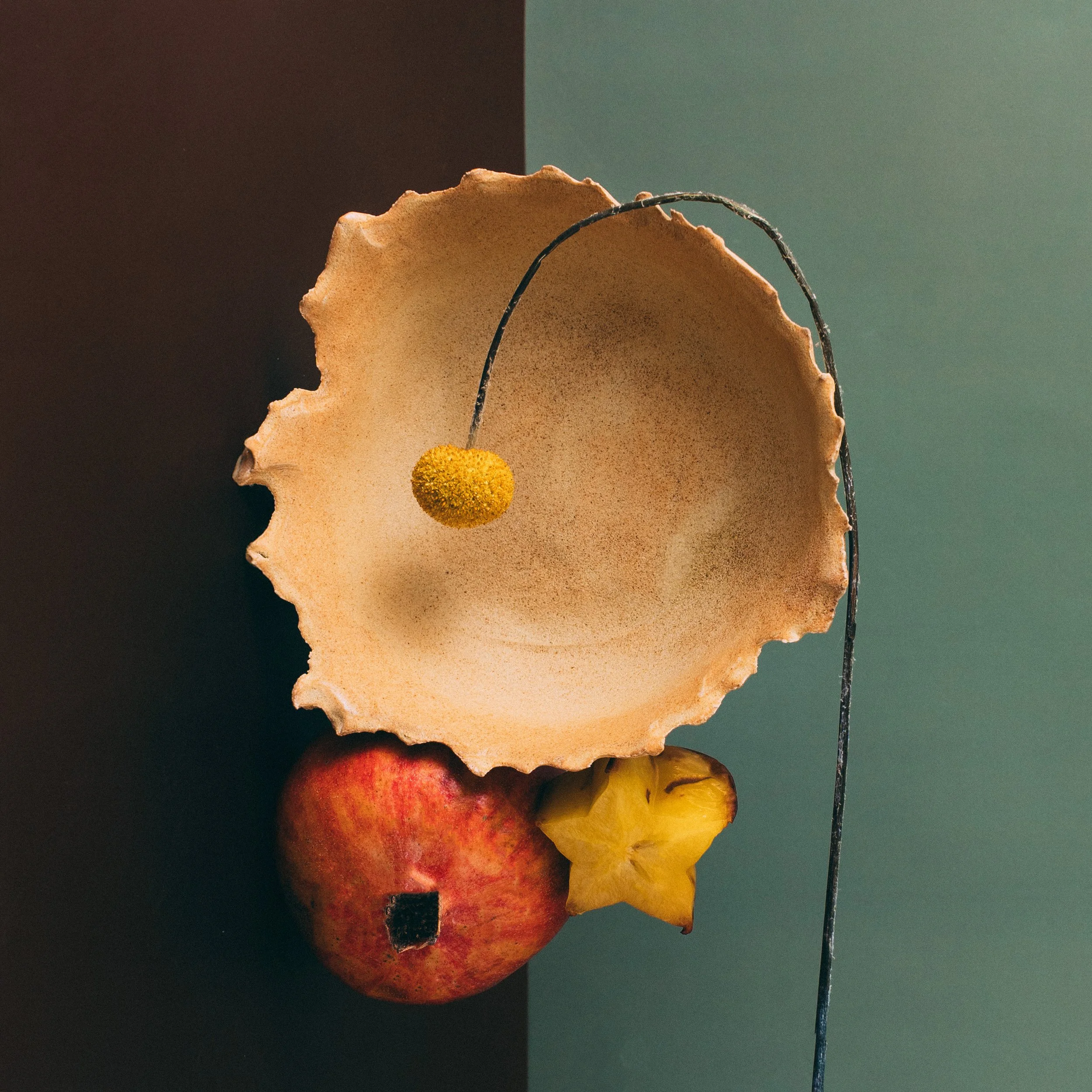 AWE catalog clasic-870.jpg