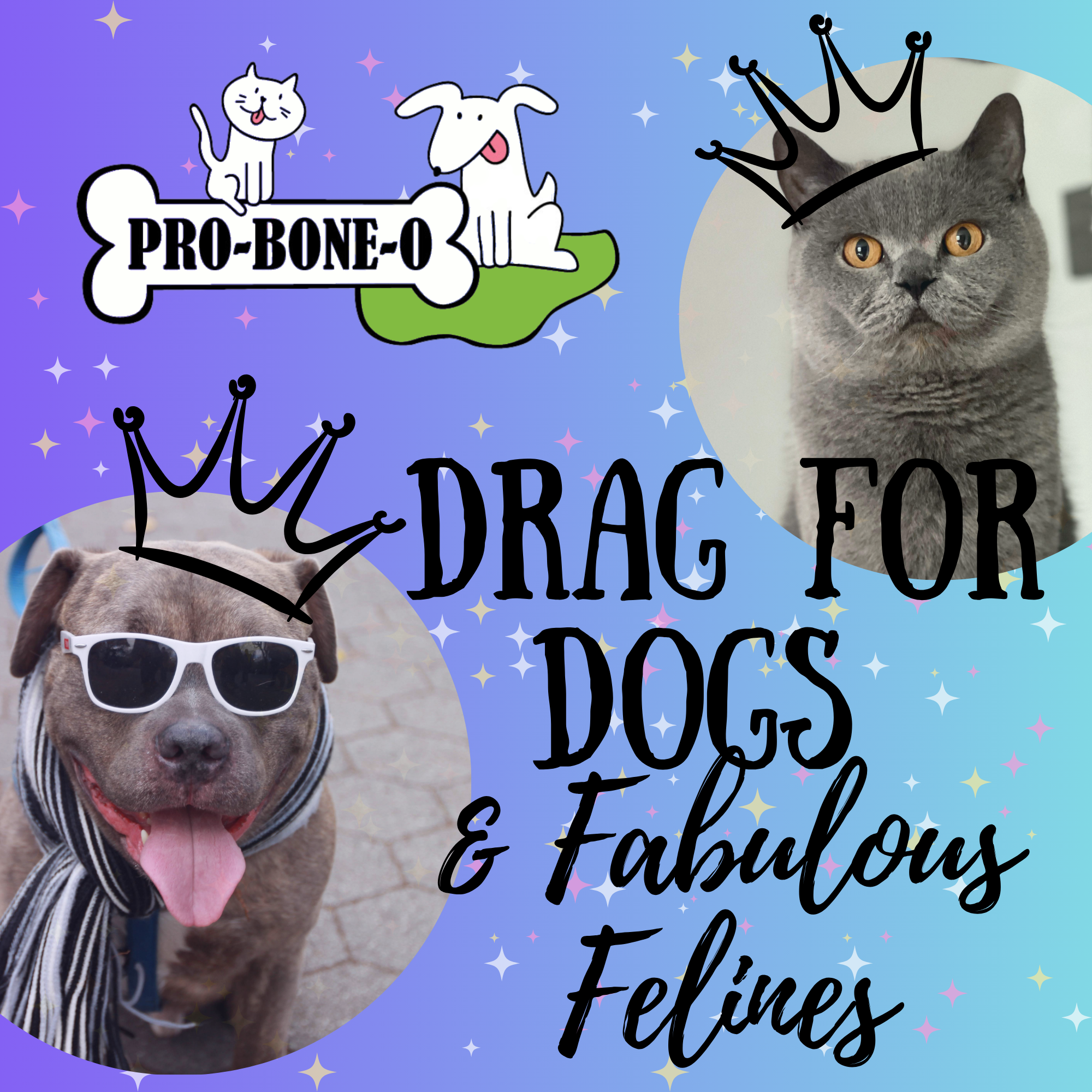 Drag for Dogs &amp; Fabulous Felines