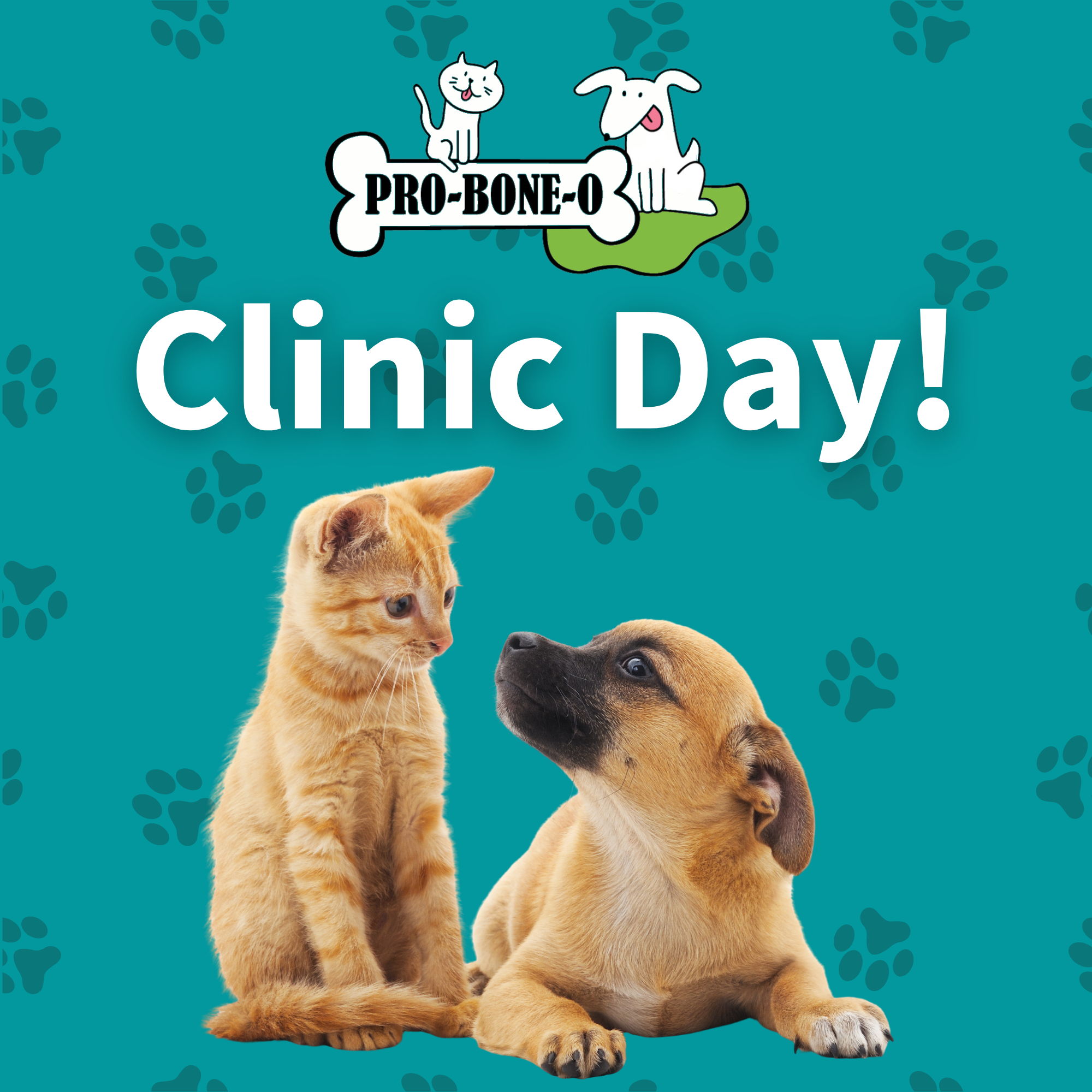 Clinic