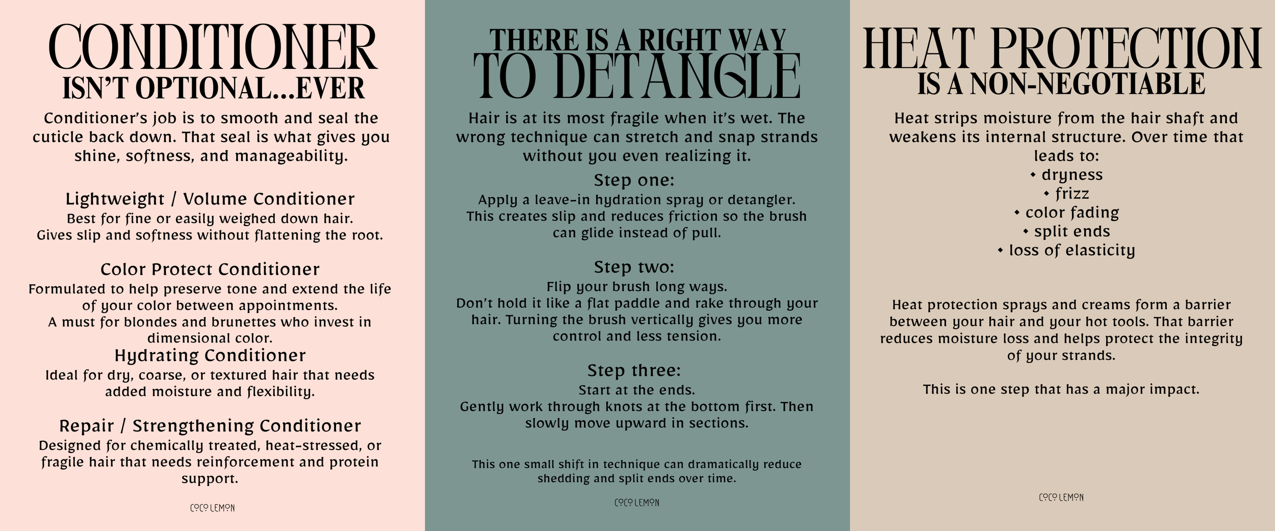 CocoLemon Salon Richmond, VA haircare guide detailing conditioner types for fine, color-treated, dry, and damaged hair, step-by-step detangling instructions, and the importance of heat protectant for preventing breakage and maintaining healthy hair.