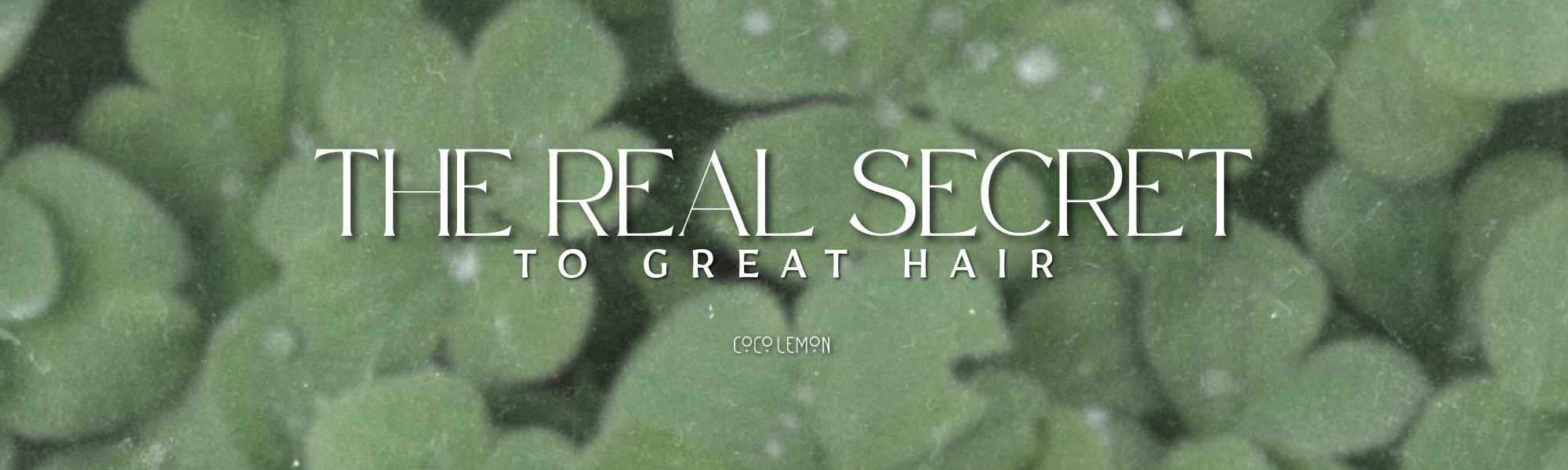 Header graphic reading “The Real Secret Behind Great Hair. Lucky Hair Doesn’t Happen by Chance” from CocoLemon Hair Salon in Richmond VA blog about healthy hair habits like conditioning, heat protection, and proper detangling.