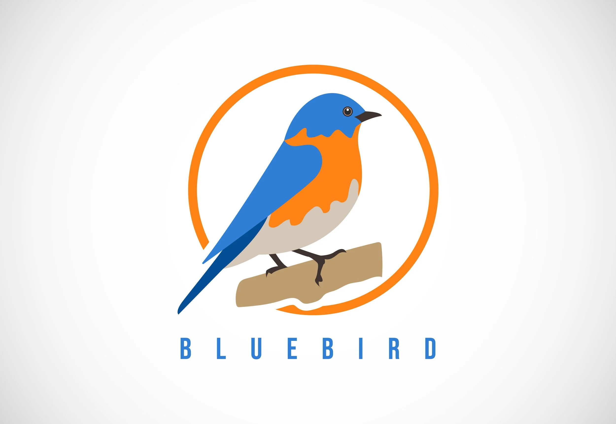 Bluebird Guided tours - Docent Tour