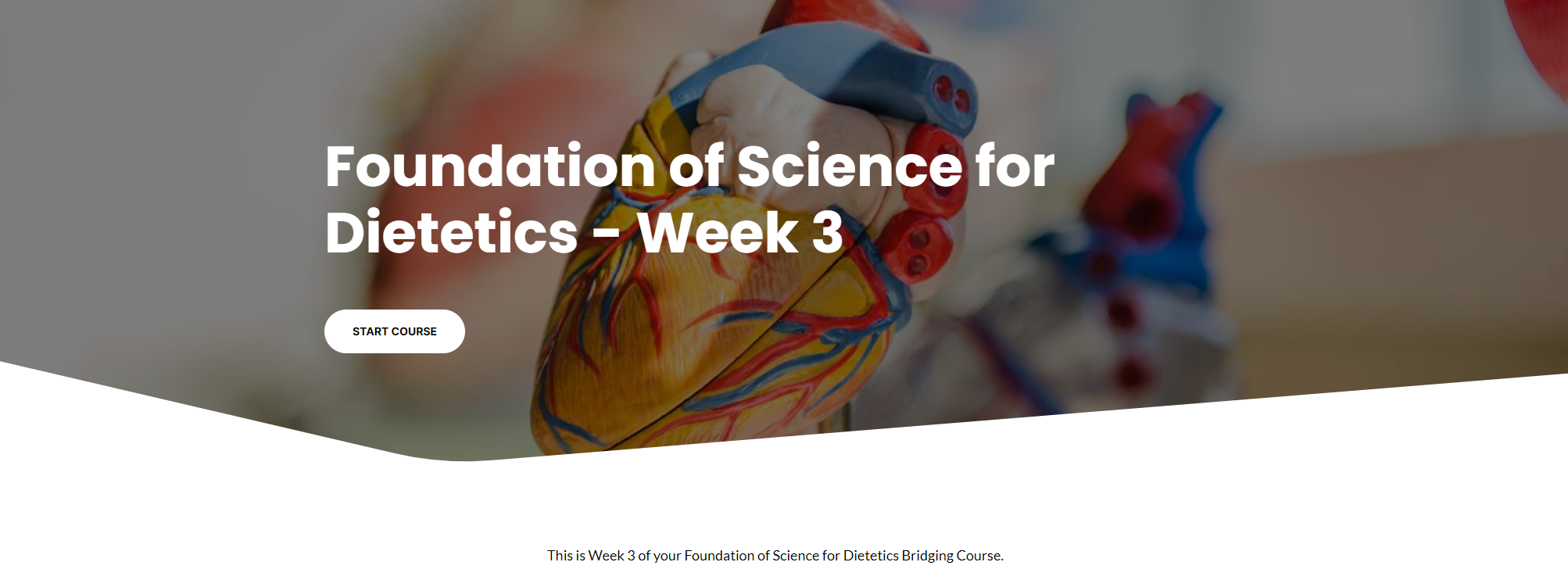 MSc Dietetics Online Bridging Course