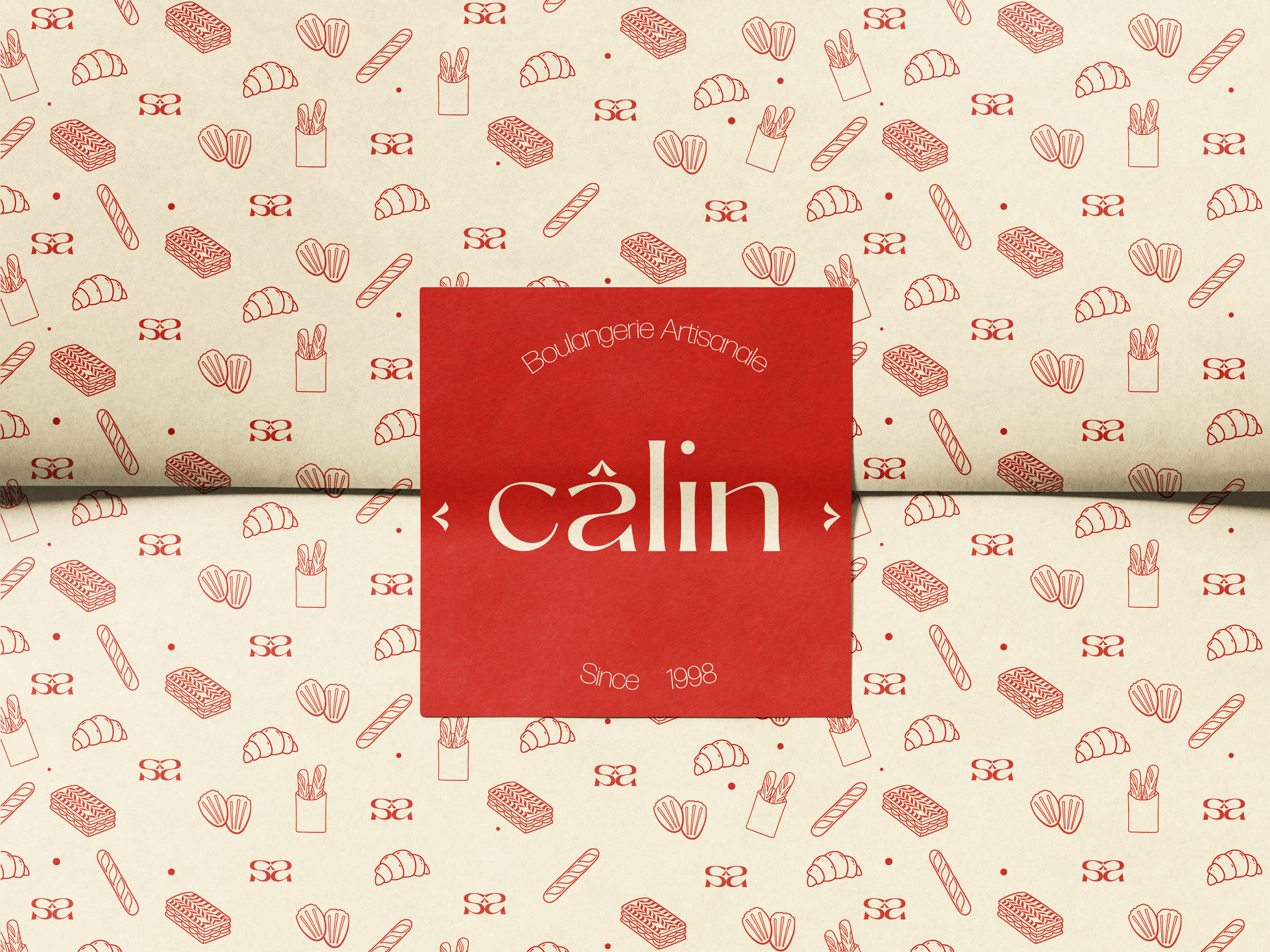 calin paper mockup.png