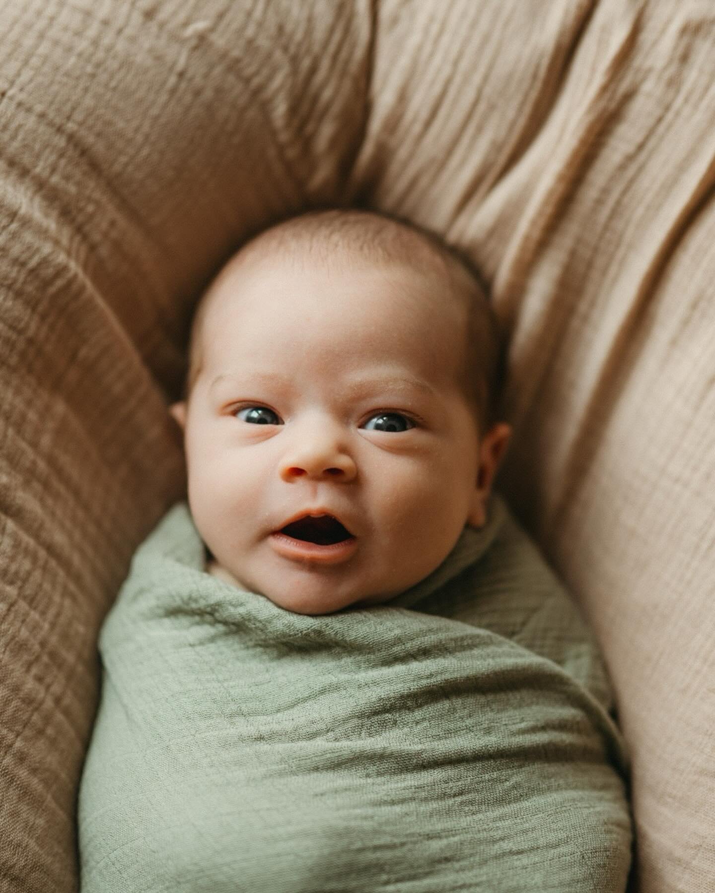 today&rsquo;s gloomy weather is reminding me of the cozy, rainy day vibes during halle&rsquo;s newborn photos 🌧️