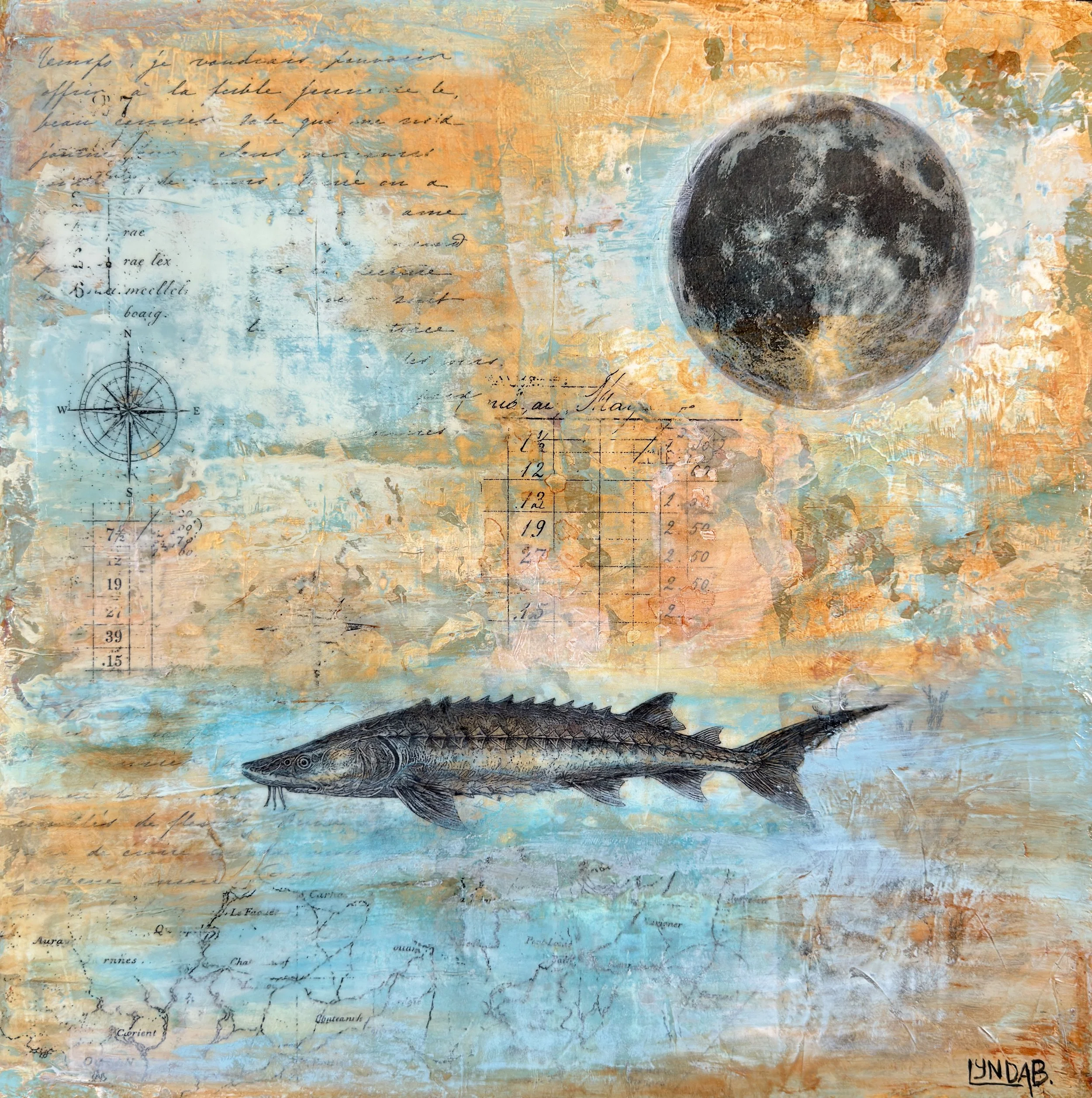 Freshwater Archive Sturgeon 18 x 18.JPG