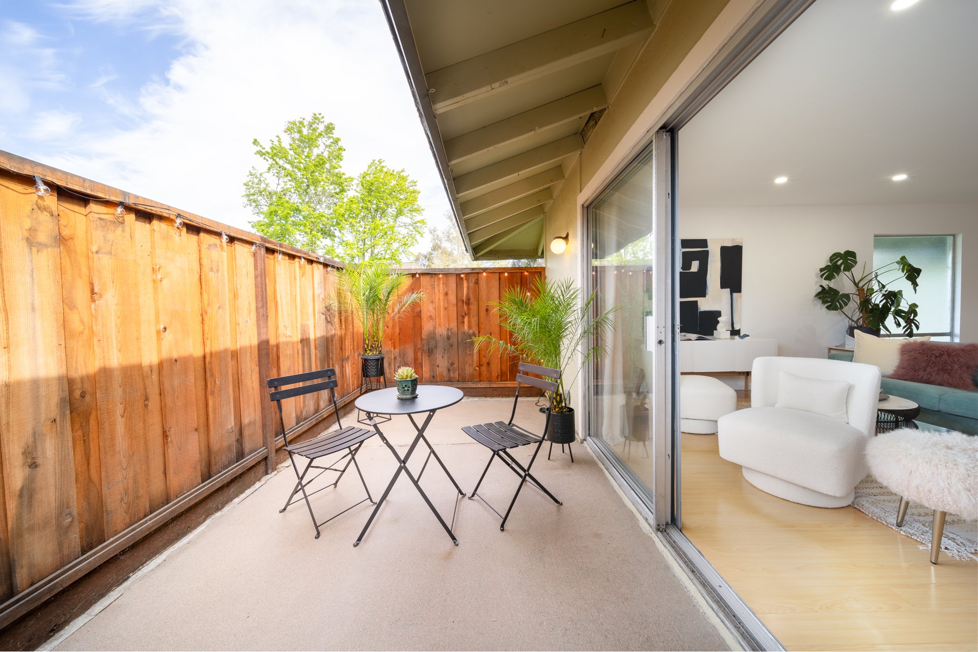 Poplar_MLS-small-.jpg