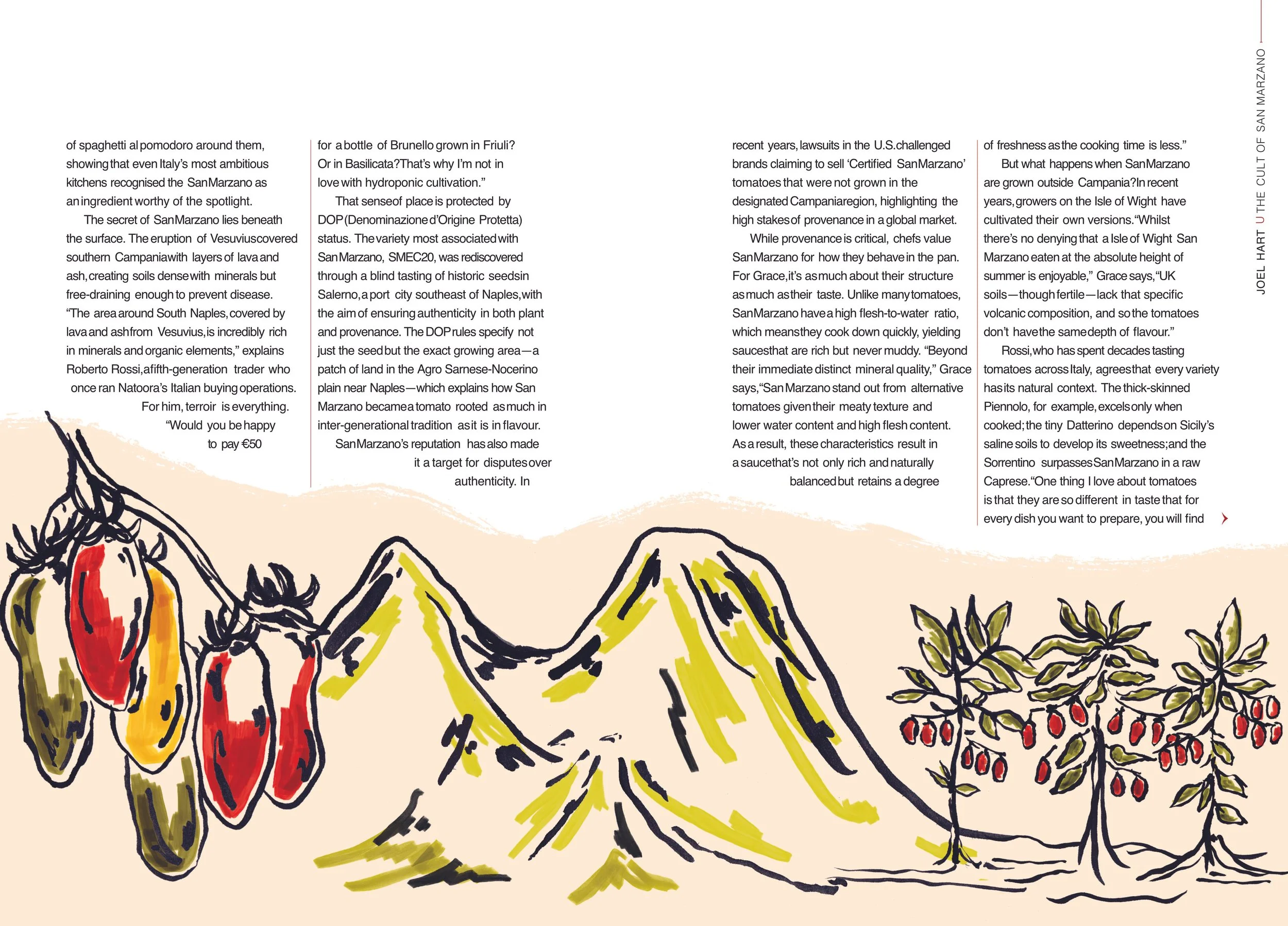 Glug 56 - The cult of San Marzano Page 2.jpg