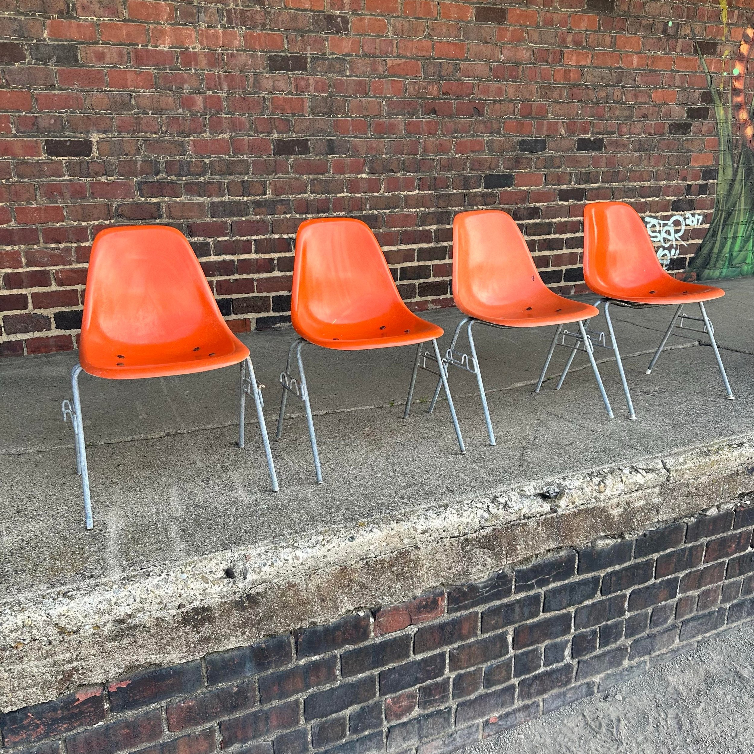 orange-eames-shell-chairs-for-herman-miller-9145.jpeg