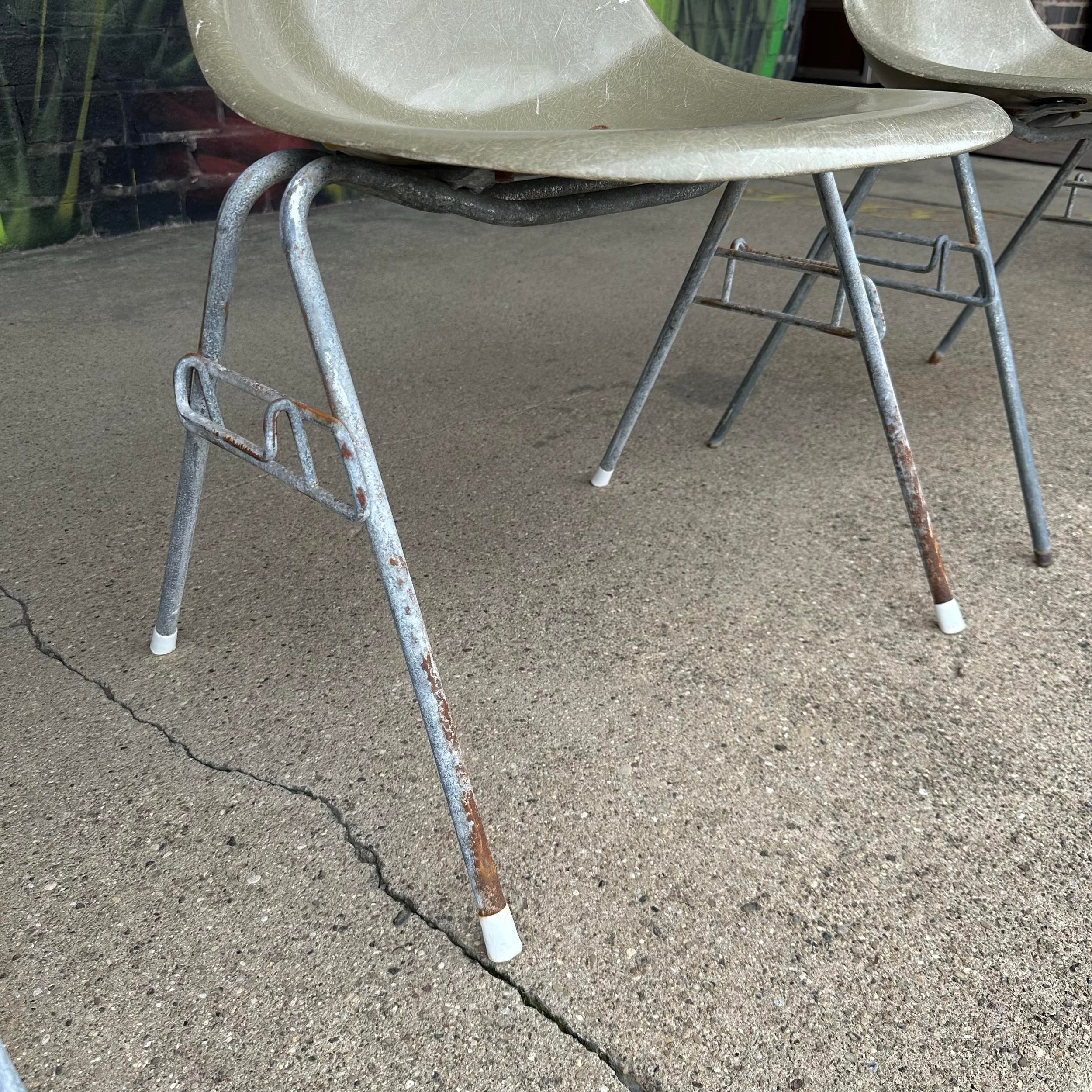 gray-eames-shell-chairs-for-herman-miller-5064.jpeg