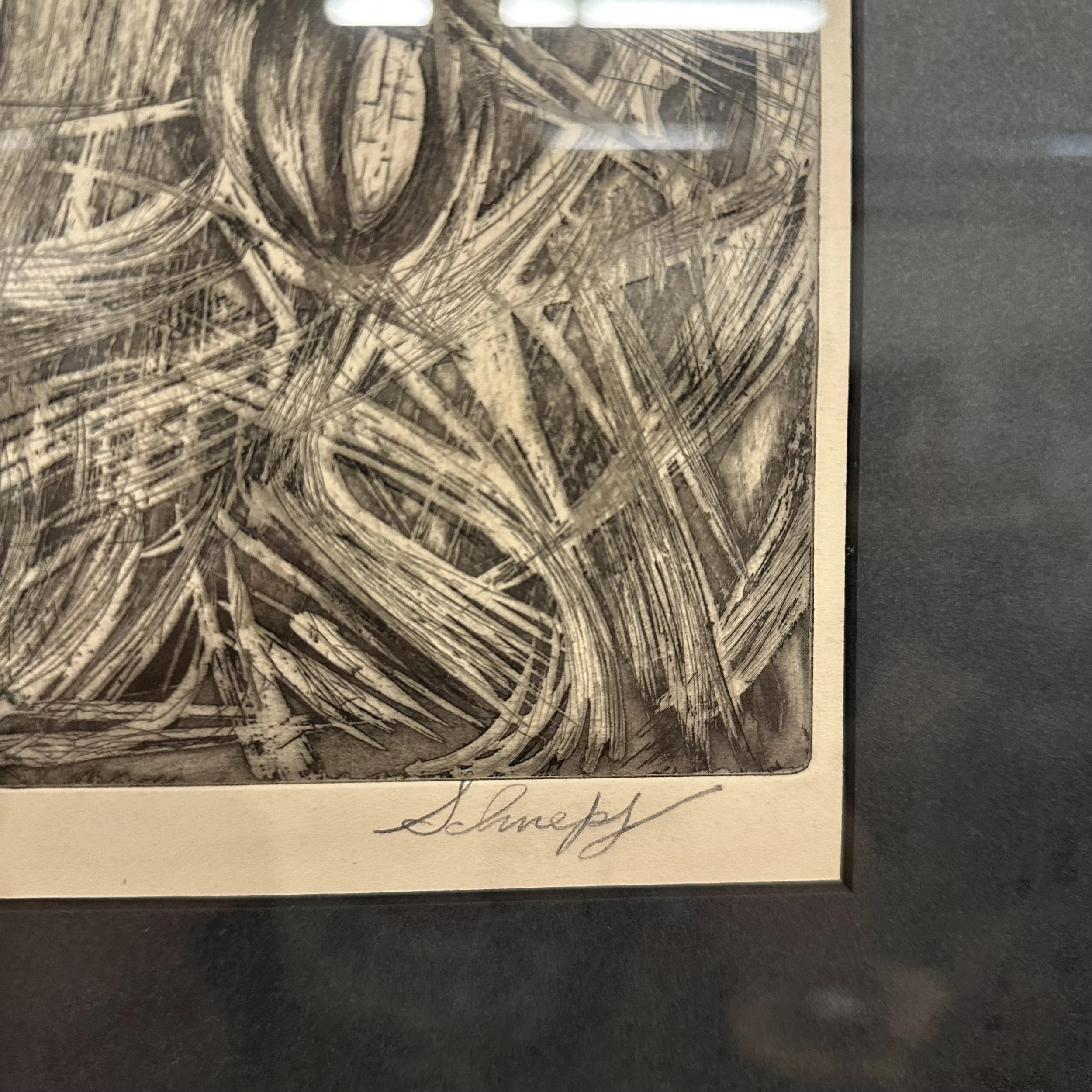 IMG_9742.jpeg