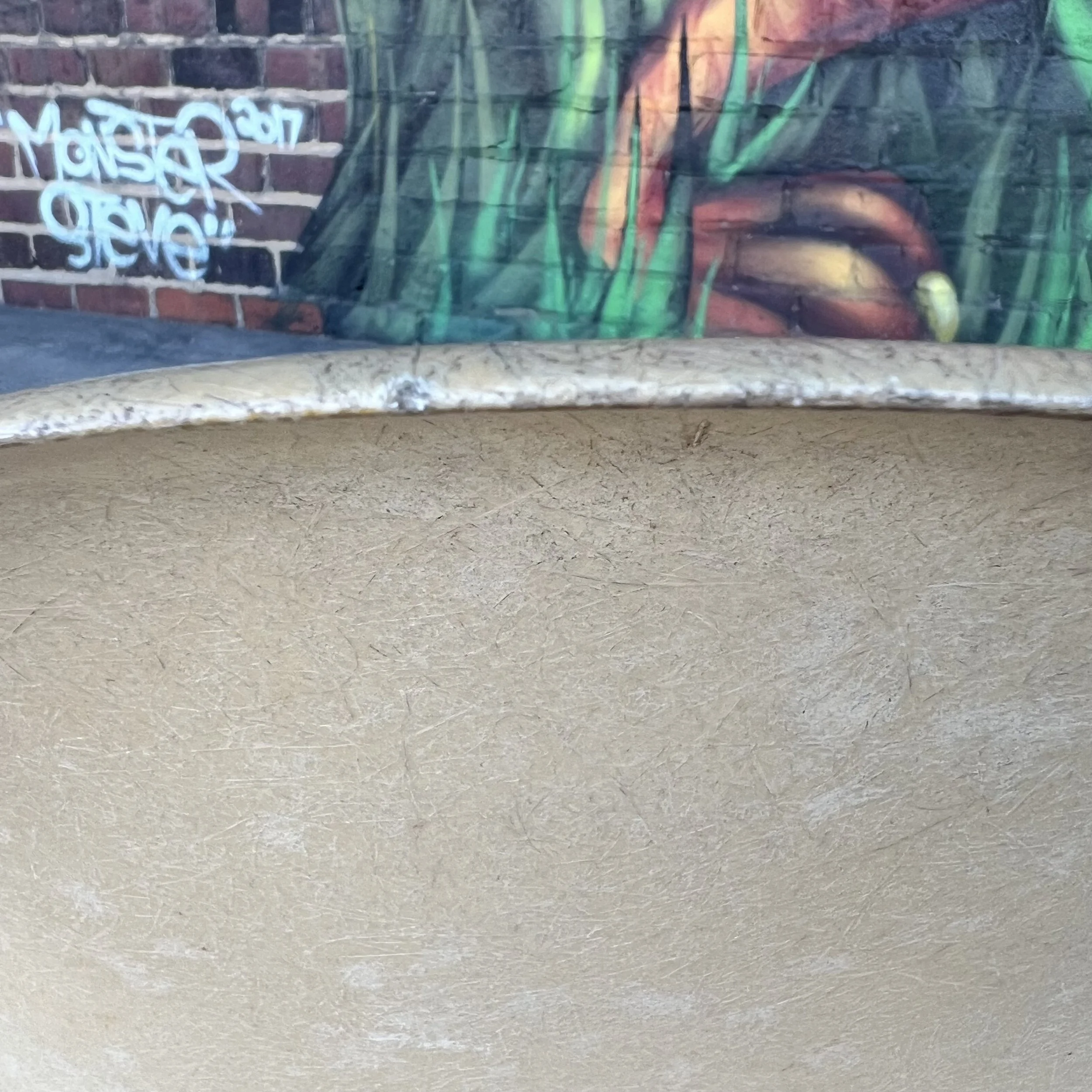 IMG_2319.jpeg