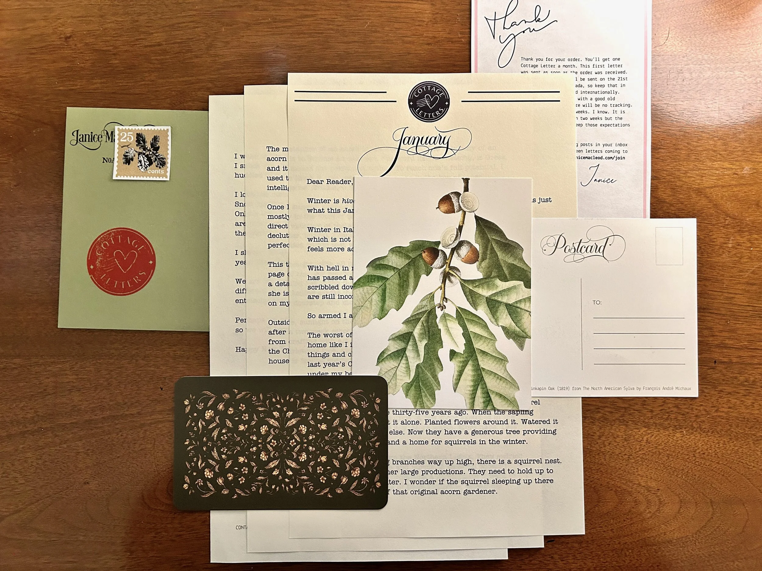 Cottage Letter: January and the squirrel