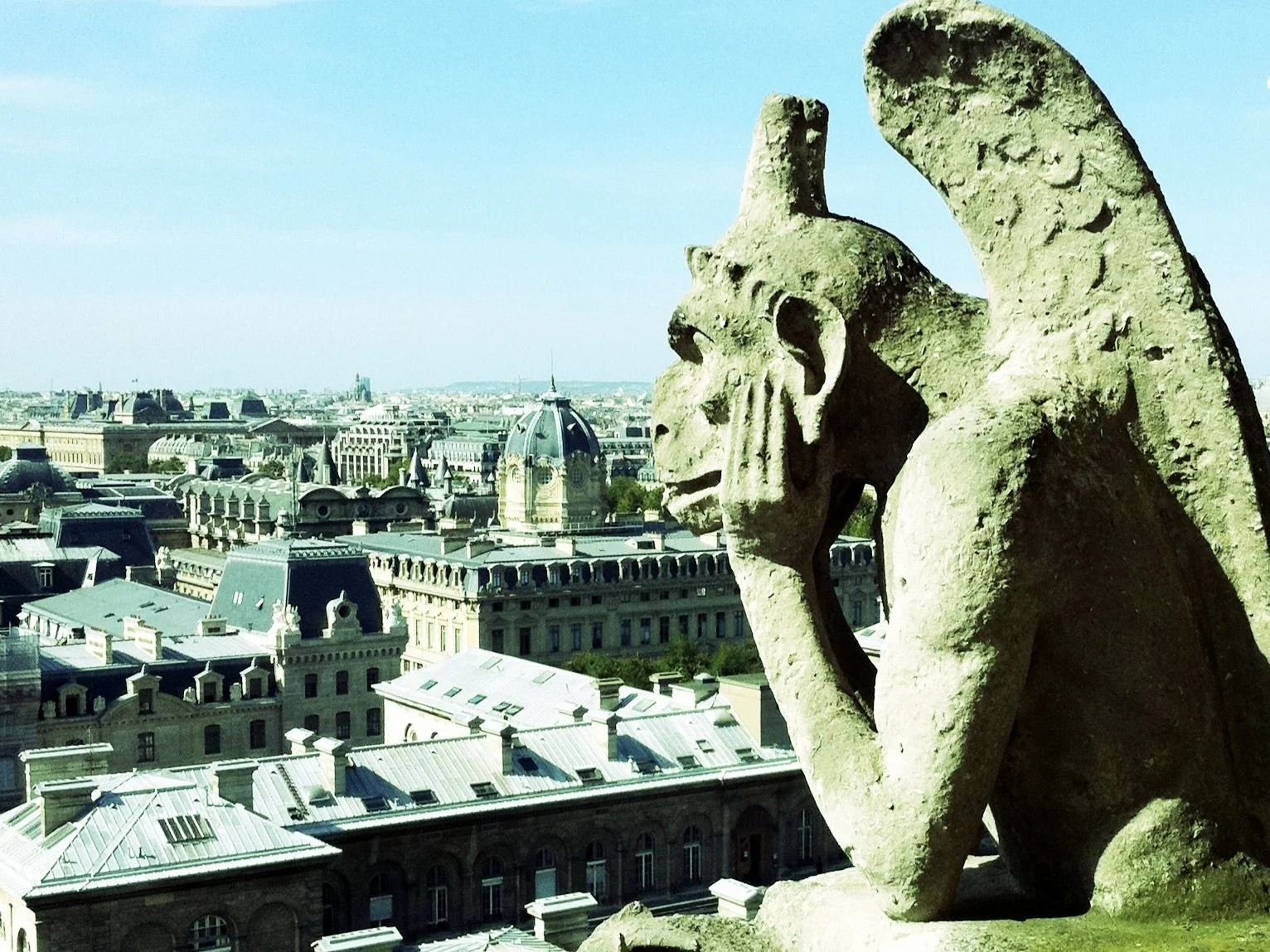 Notre Dame Gargoyles