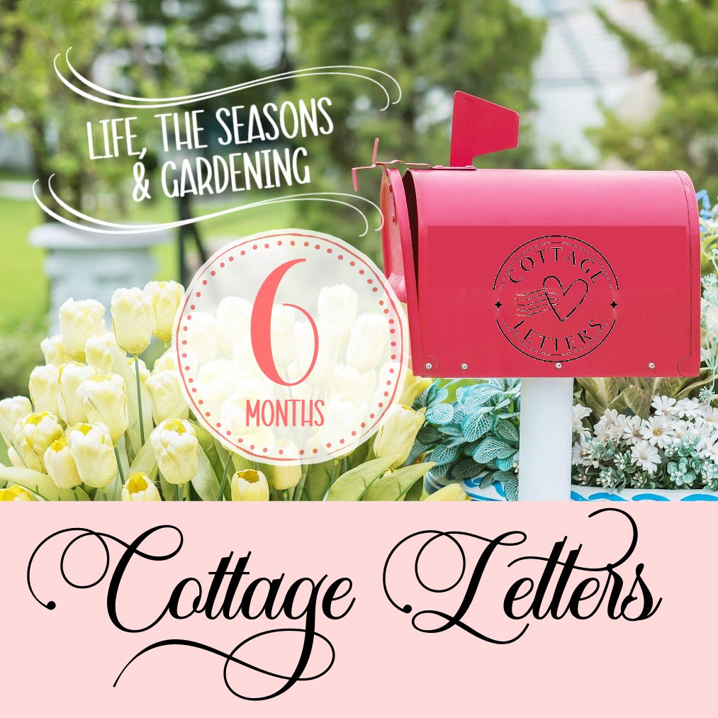 letter subscription cottage letters 6.jpg