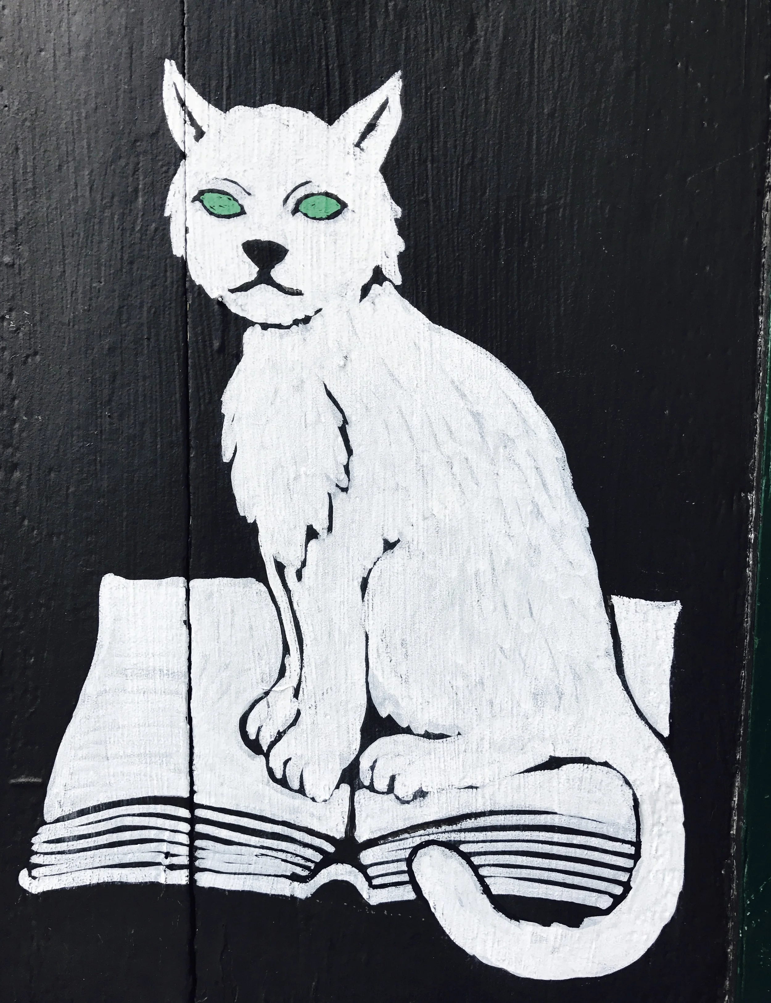 Shakespeare and Company Cat