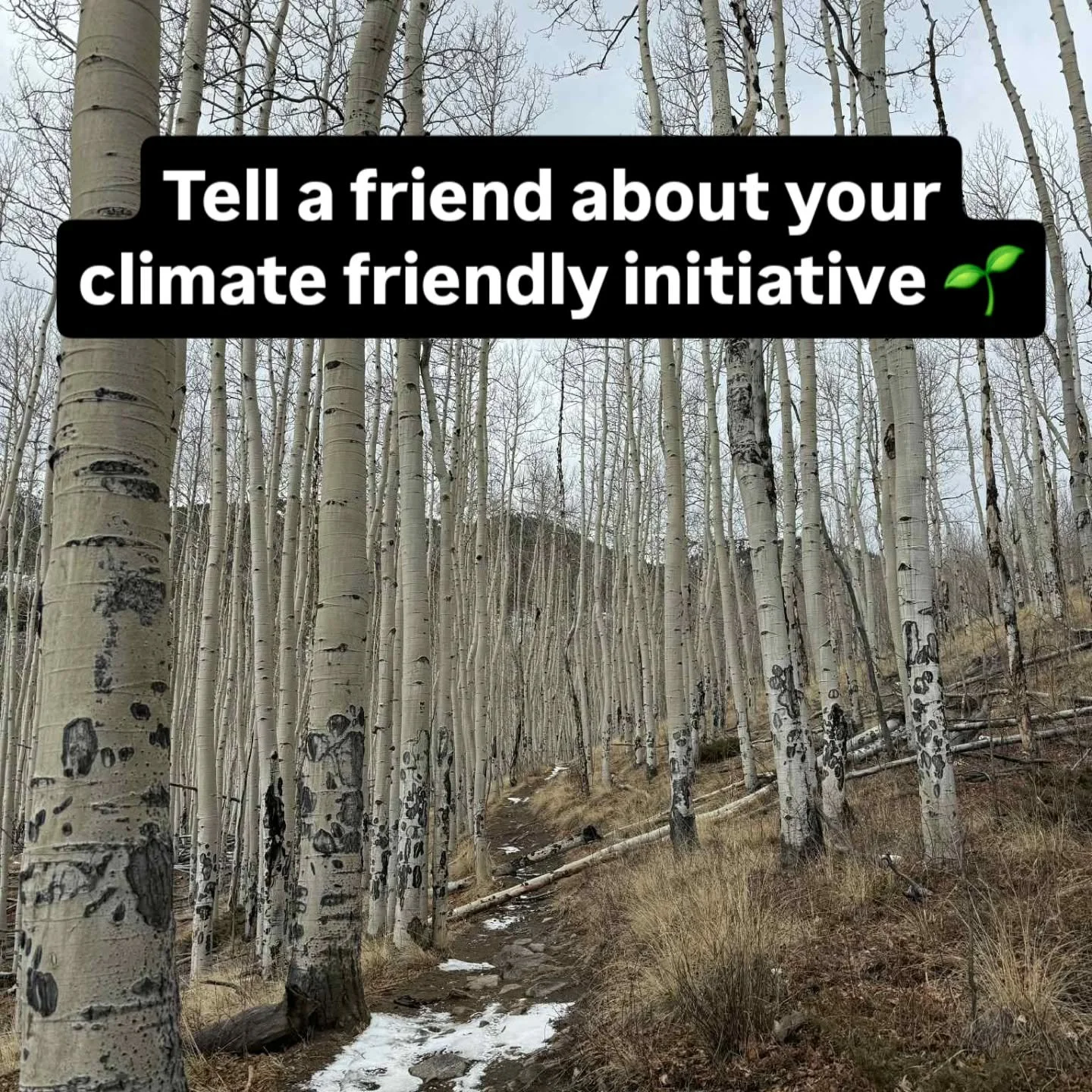 🌍 Pump for the Planet &ndash; Week 7

Why?

The behavior of a few can have a significant impact on the behavior of many. If a small change triggers an abrupt and often irreversible change, then we are at a so-called tipping point. One example is the