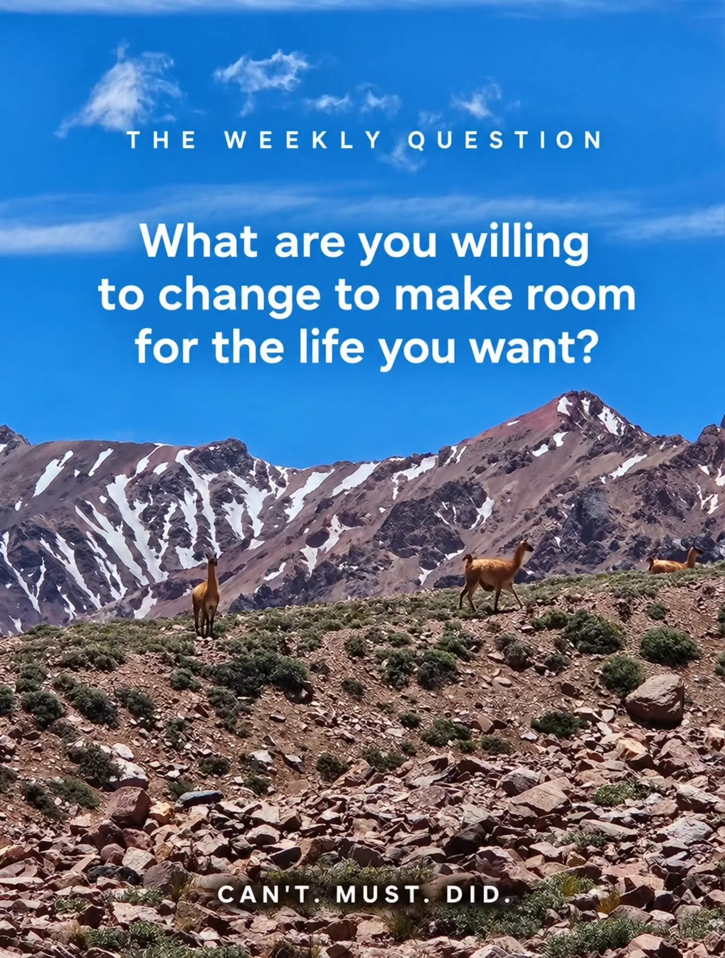 THE WEEKLY QUESTION ✨

What are you willing to change to make room for the life you want?

We fill our days with commitments, routines and expectations. But are we leaving room for what matters to us?

Maybe it starts with one habit. Saying no. Makin