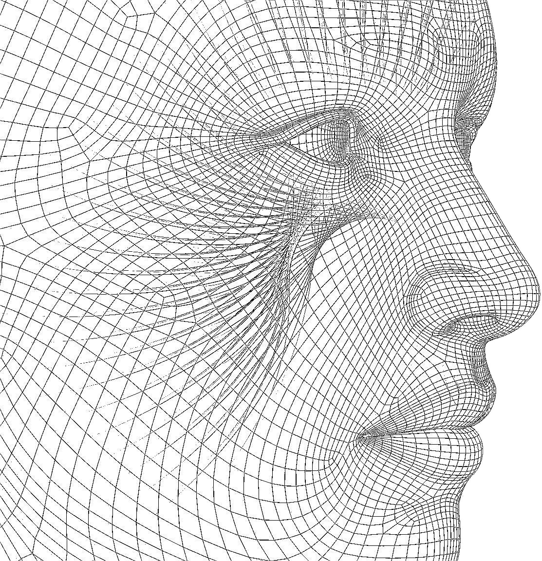 INDIVIDUAL FREQUENCY ANALYSIS