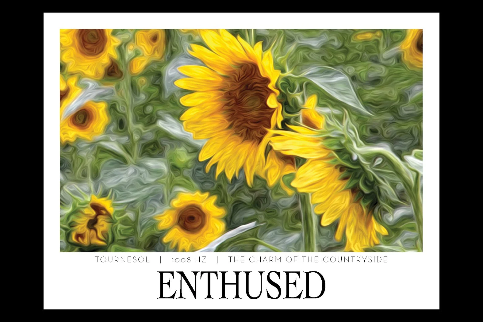 ENTHUSED. 1008 HZ. Frequency Anchor