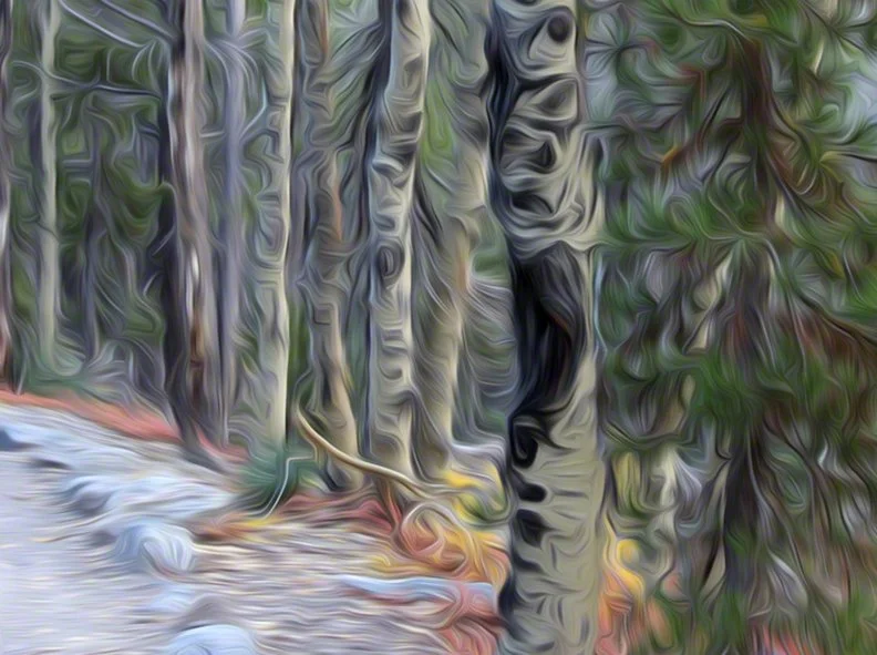 Allure horizontal.jpg