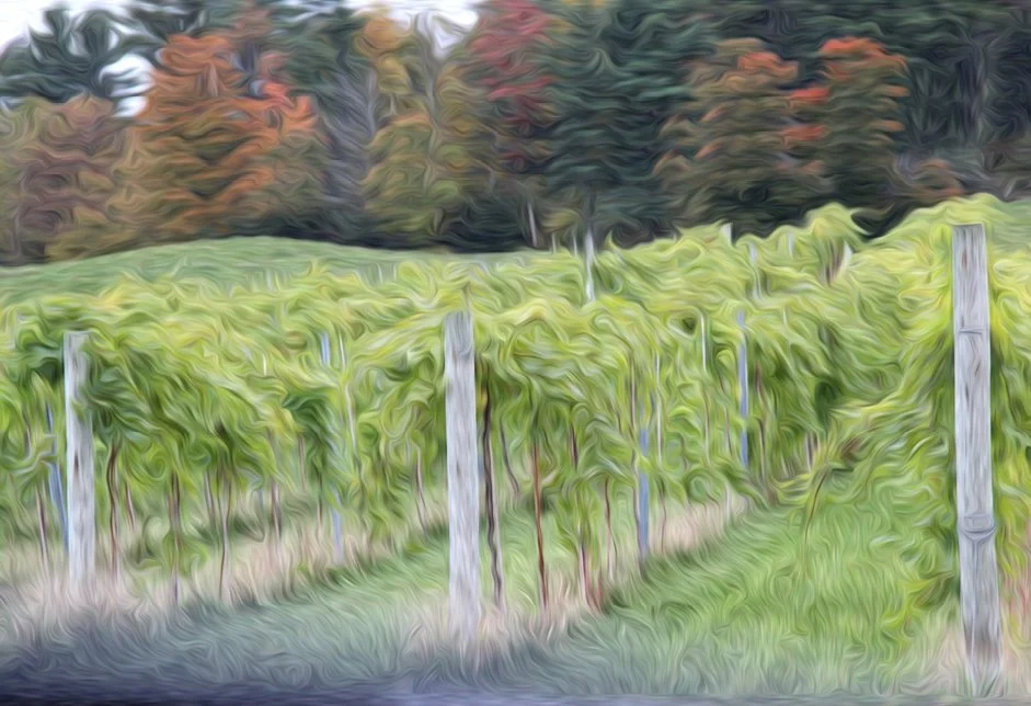 RIESLING. NeuroResonant Art. 676 HZ