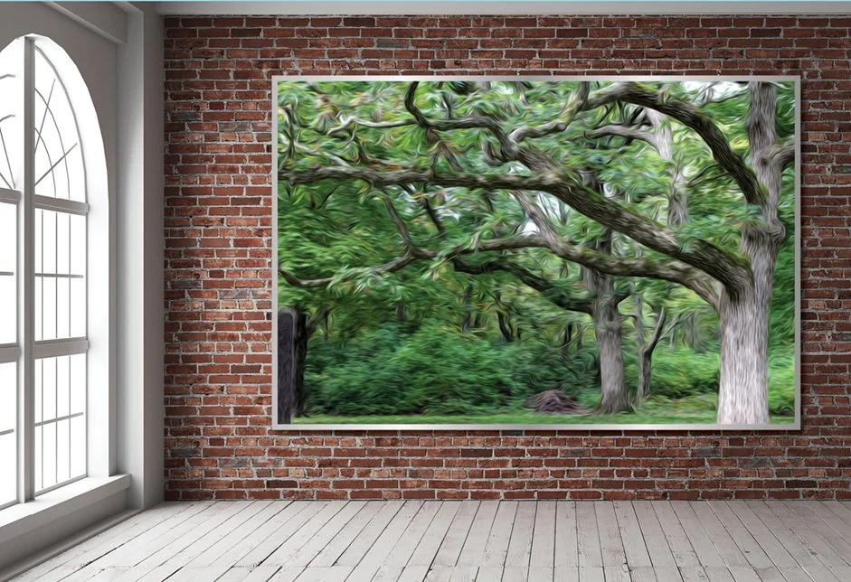 Product Entwine Gallery.jpg