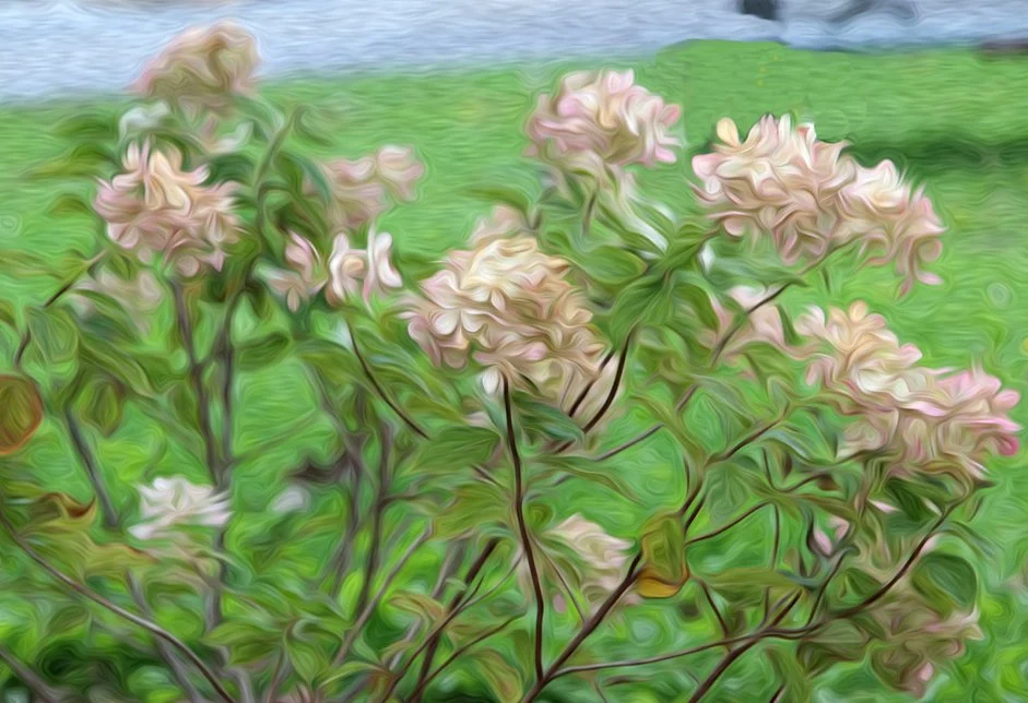 CHIFFON. Resonant Art. 960 HZ.