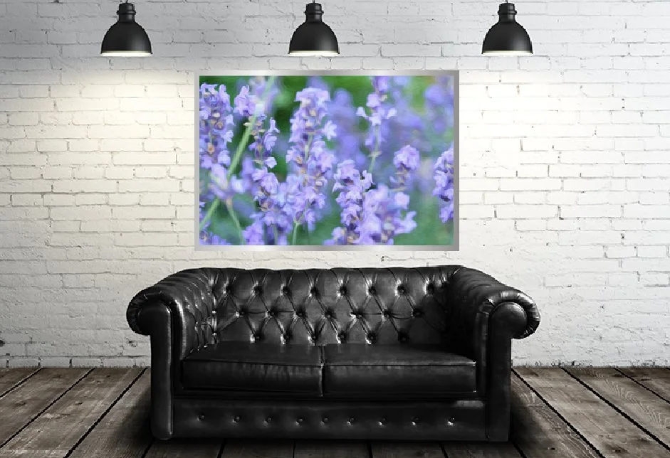 resonant-art-for-healing-rhapsody-scene2