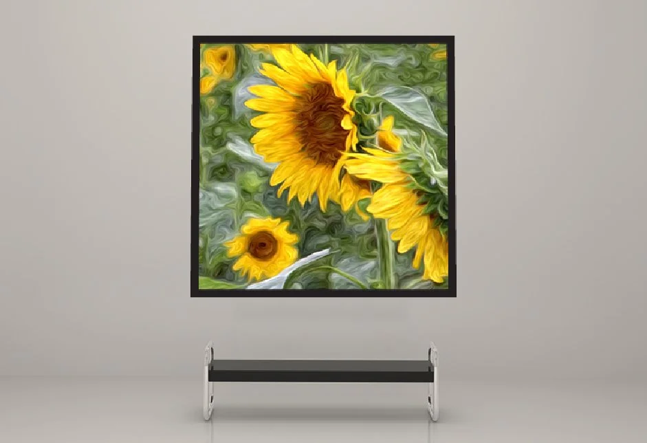 Product TOURNESOL GALLERY 2.jpg
