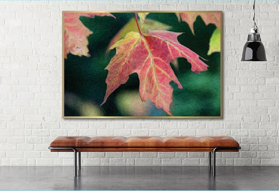 high-frequency-art-for-healing-phenomenon-gallery