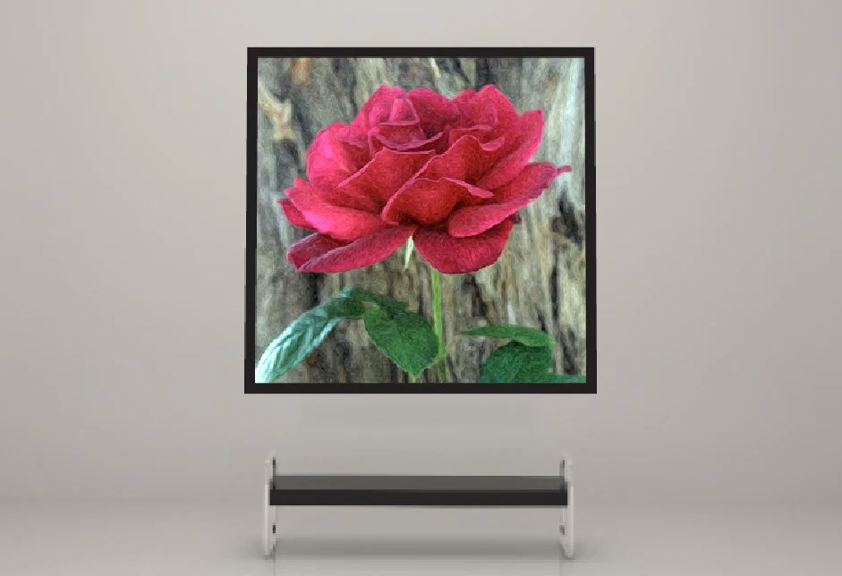 PRODUCT CARMINE GALLERY.jpg