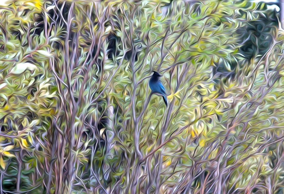 SERENATA. NeuroResonant Art. 912 HZ