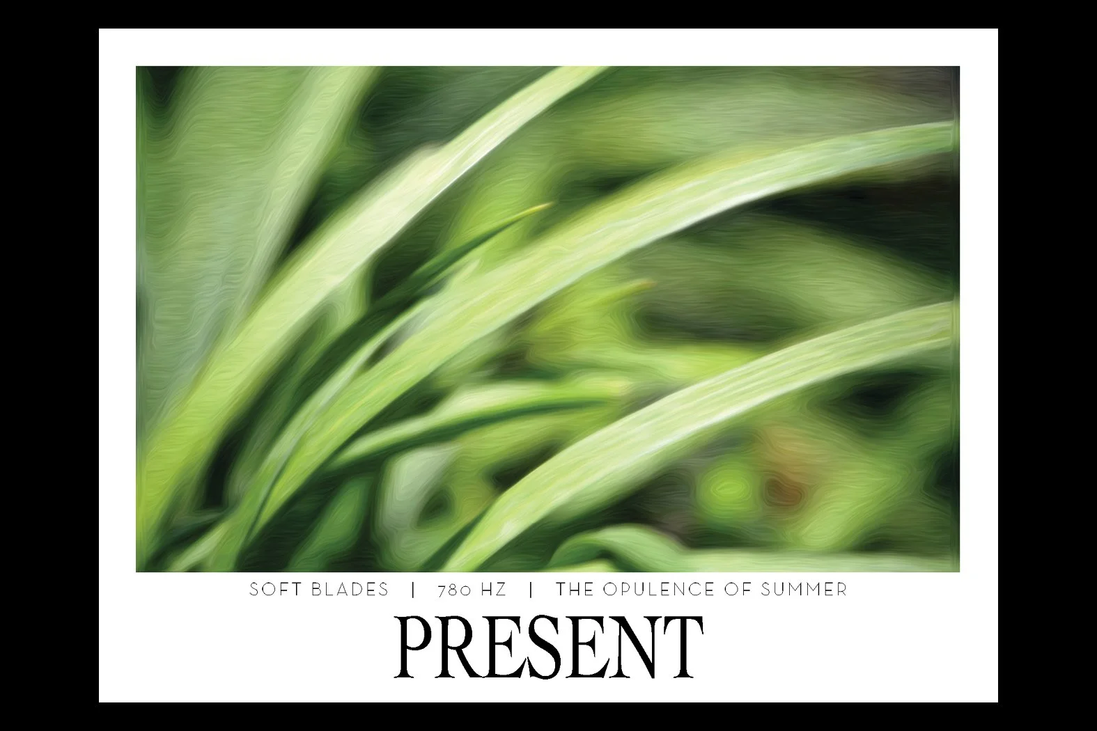 PRESENT. 780 HZ. Frequency Anchor