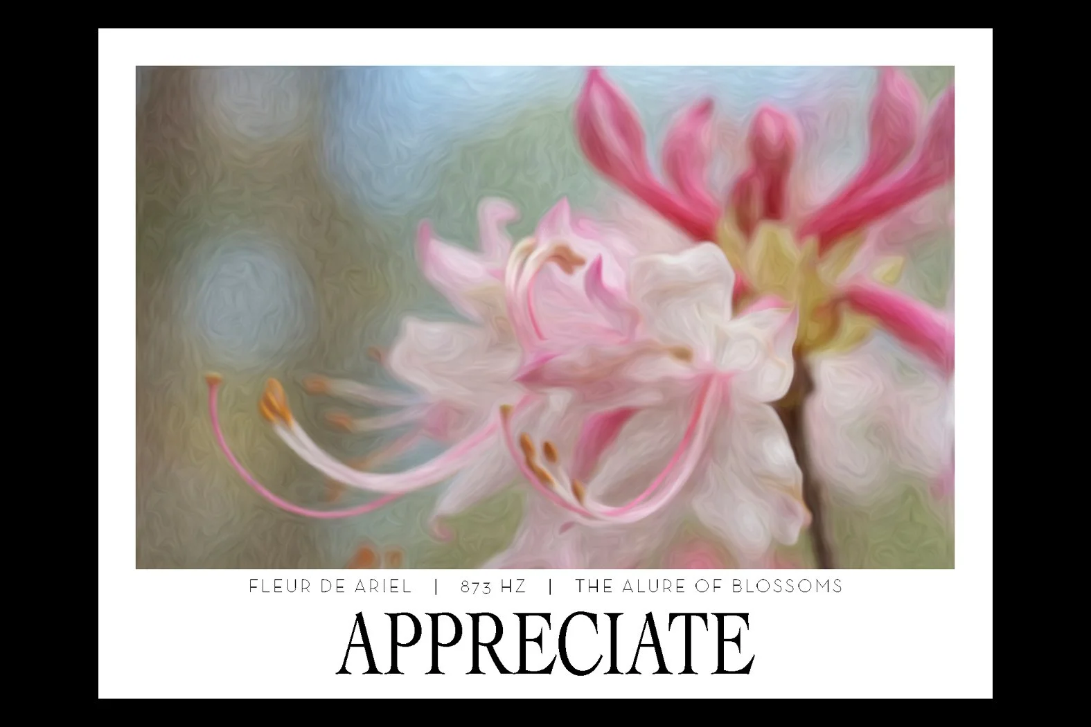 APPRECIATE. 873 HZ. Frequency Anchor