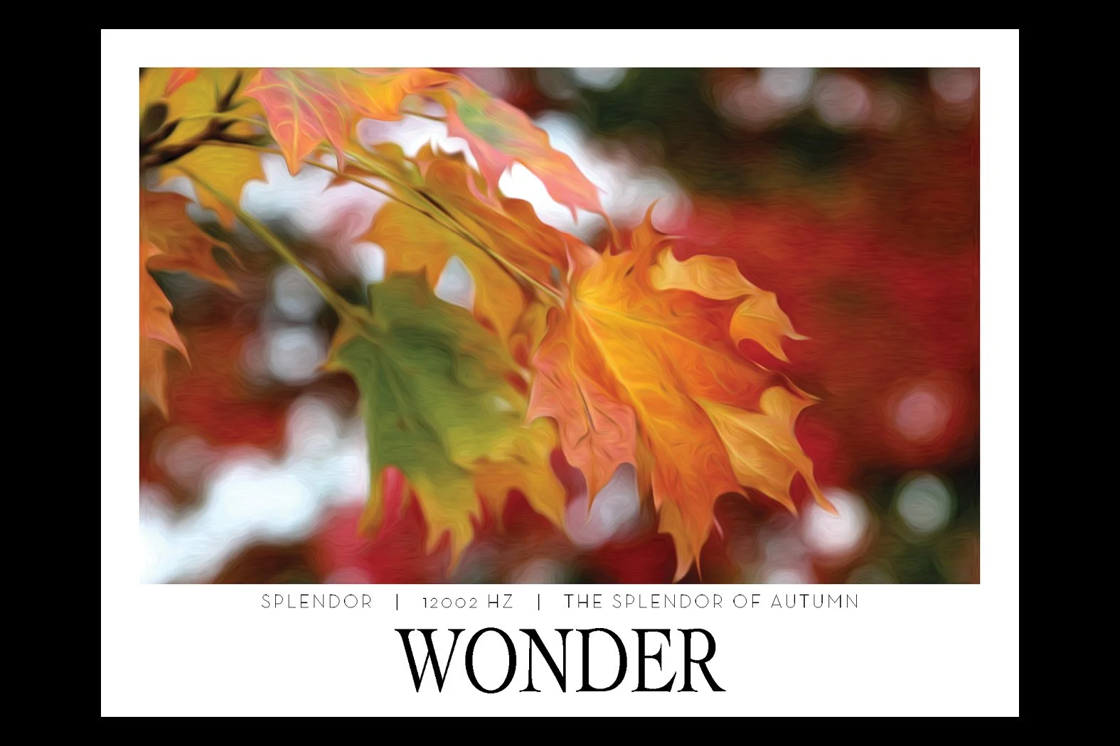 WONDER. 1200 HZ. Frequency Anchor