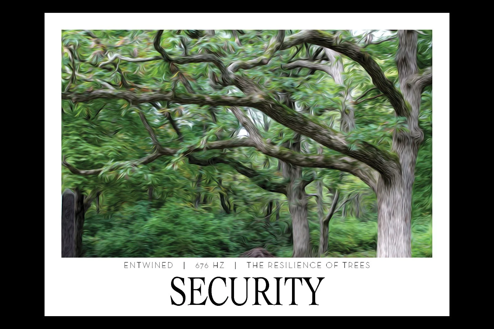 SECURITY. 676 HZ. Frequency Anchor