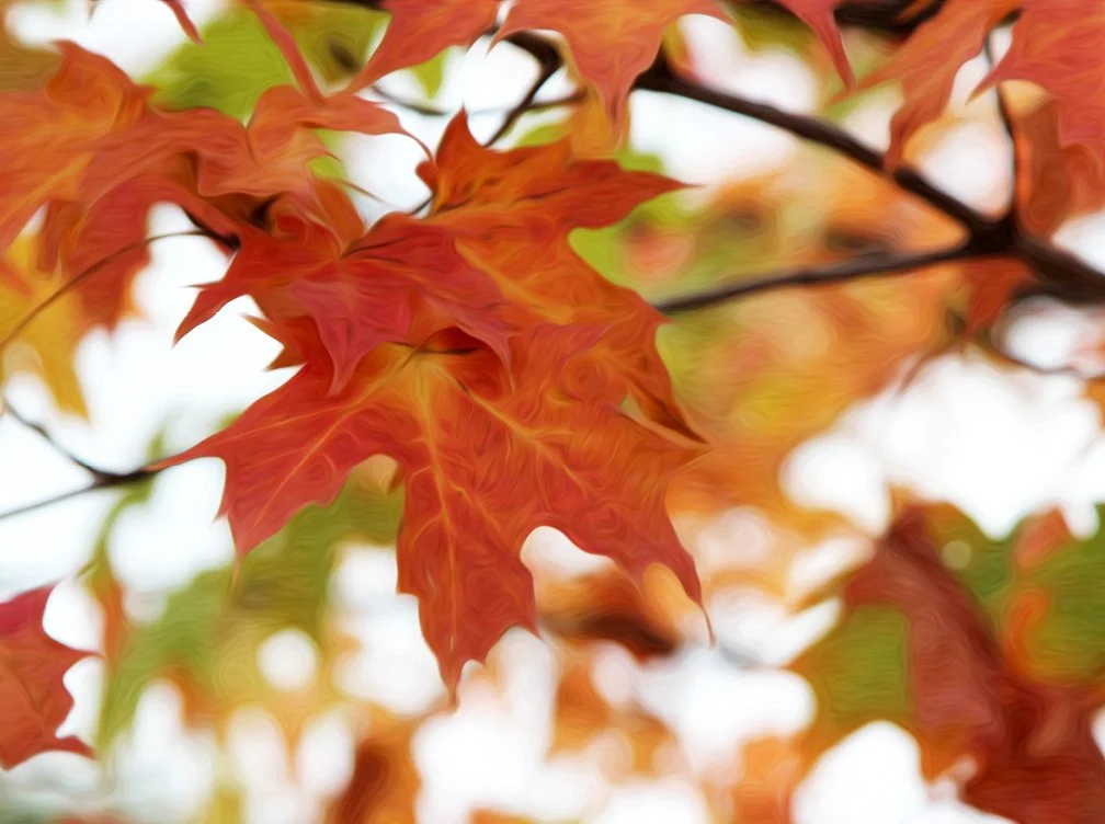high-vibration-art-for-well-being-copper-flower