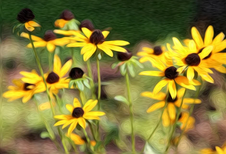 ENCHANTED. NeuroResonant Art. 780 HZ