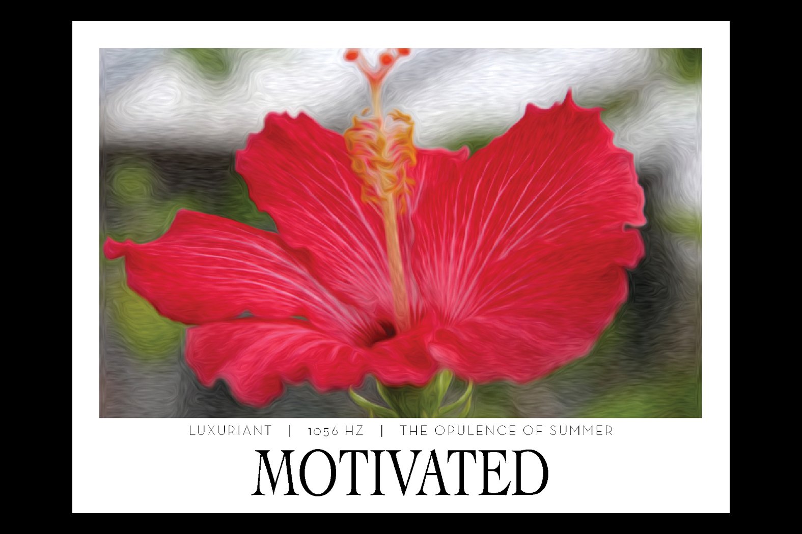 MOTIVATED. 1056 HZ. Frequency Anchor