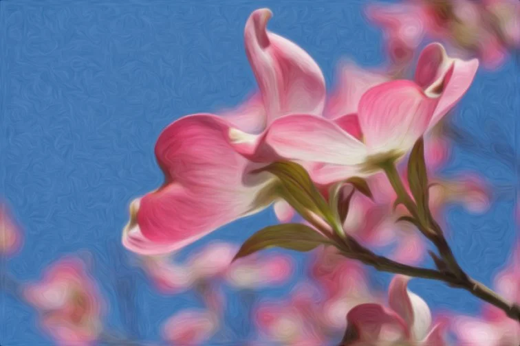 SONG OF THE SONATA. Resonant Art. 873 HZ