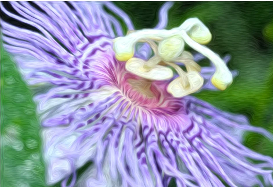 Product PASSAFLORA.jpg