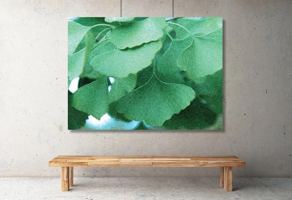 Product Maidenhair Gallery.jpg