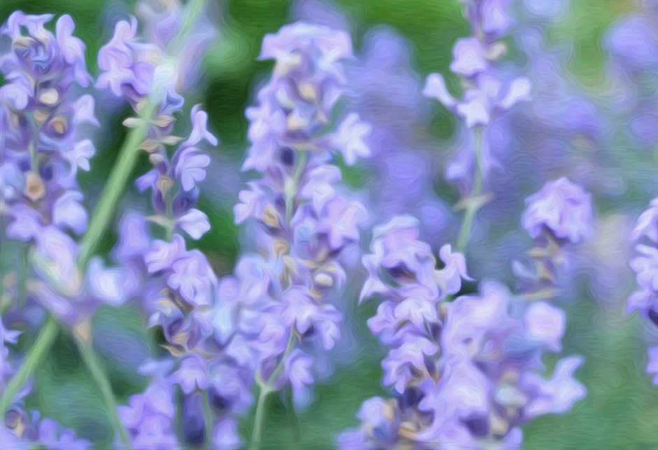 RHAPSODY. Resonant Art. 1008 HZ