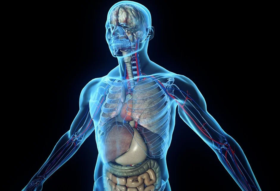 Resonant art featuring fractal patterns inspired by nature for relaxation and well-being