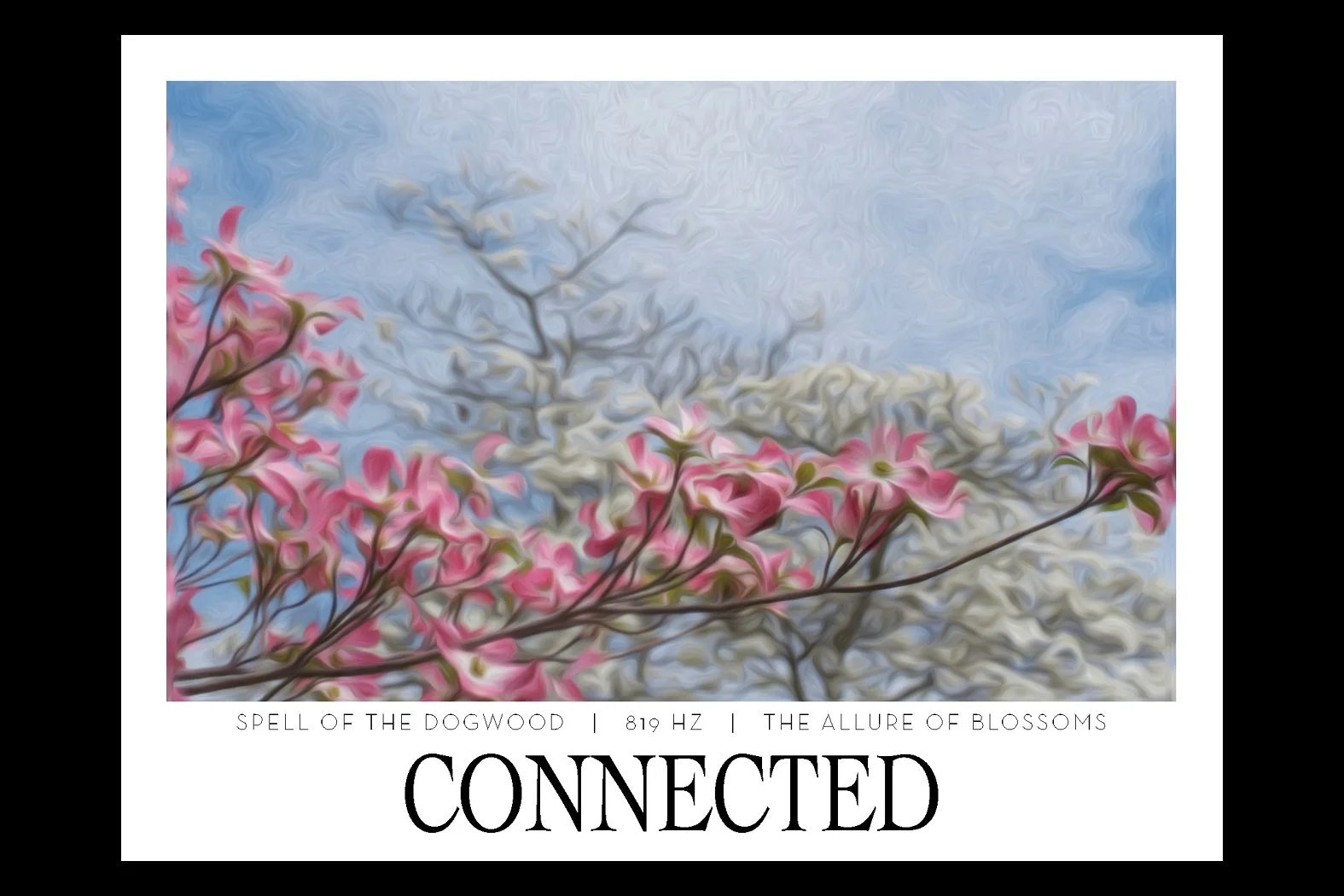 CONNECTED. 912 HZ. Frequency Anchor