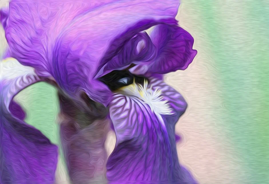 Product Ephipany.jpg