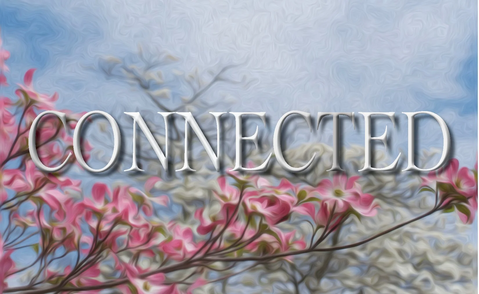 CONNECTED. 912 HZ. Frequency Anchor