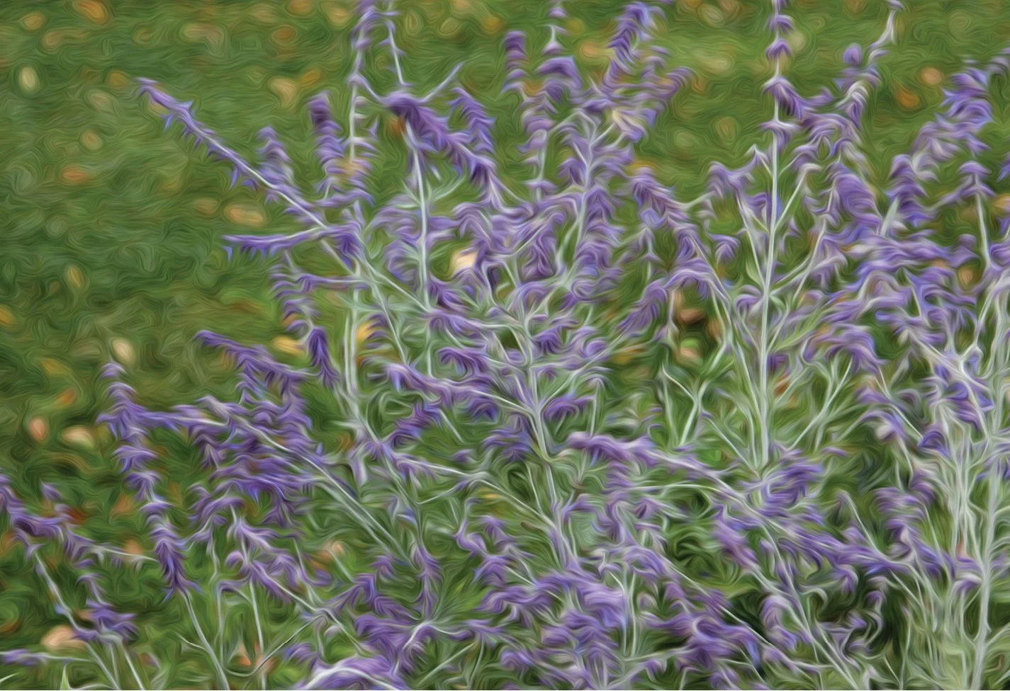 FIELD OF VIOLETTE. NeuroResonant Art. 819 HZ